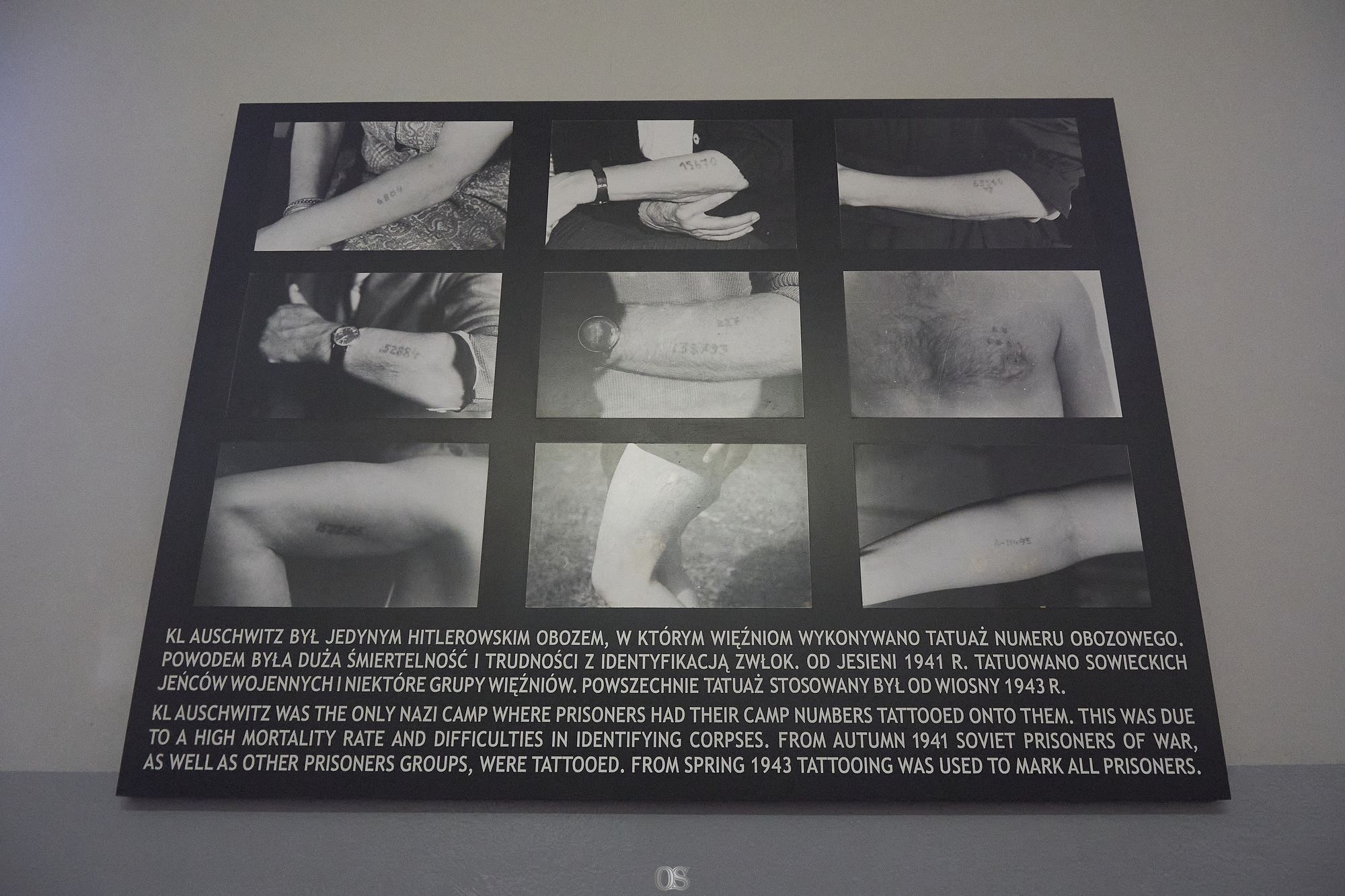 Auschwitz 46.jpg
